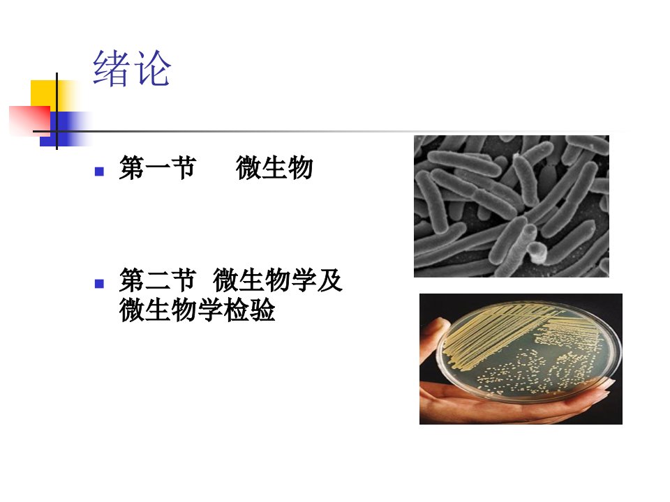 微生物学检验课件