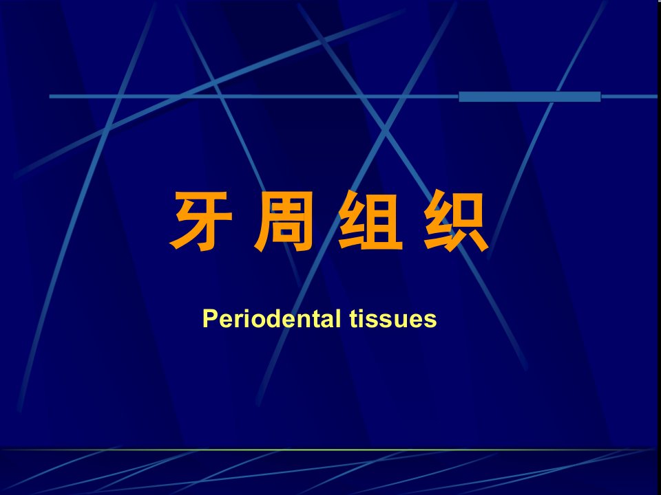 牙周组织（PPT48页)