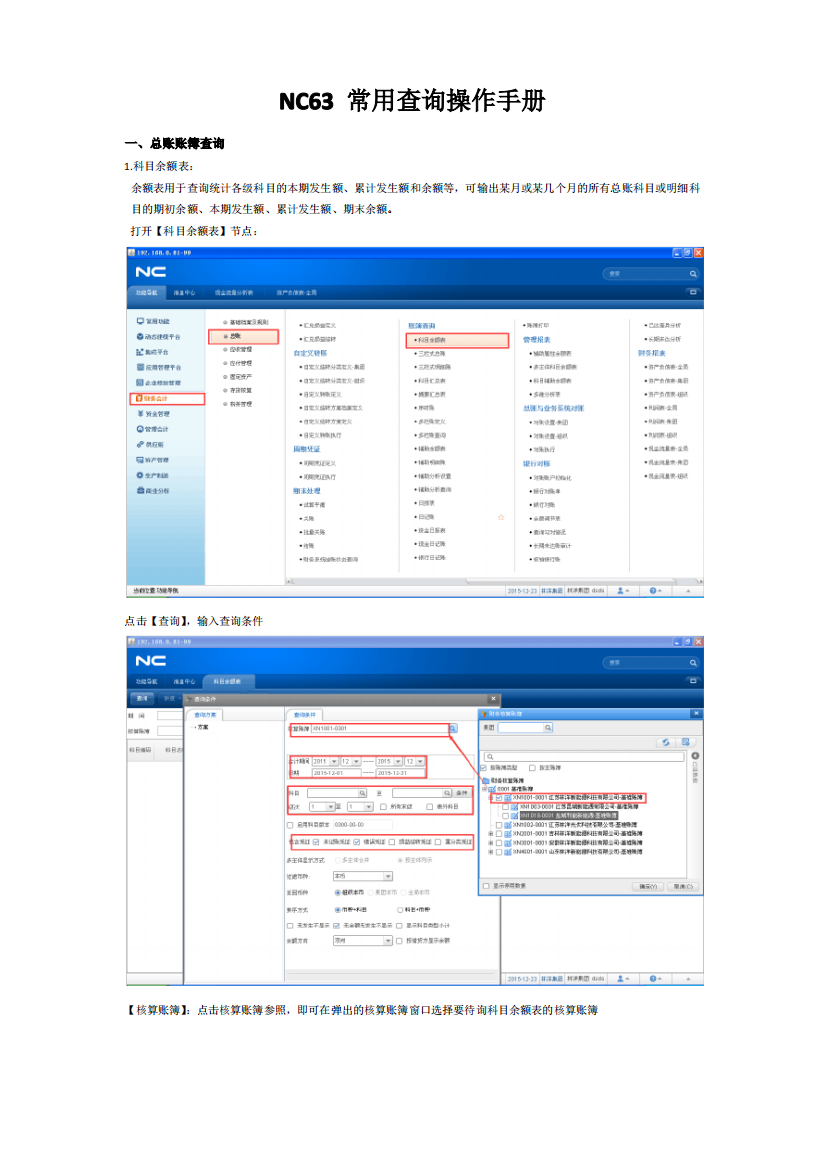 NC63常用查询操作手册