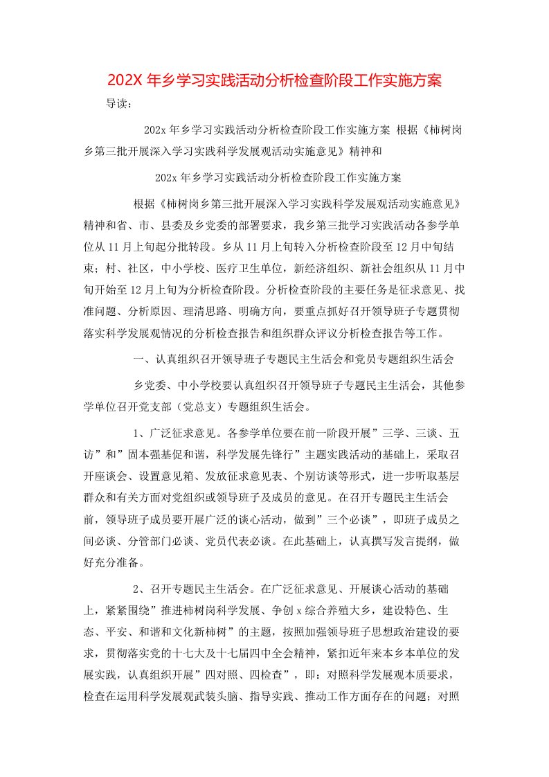 202X年乡学习实践活动分析检查阶段工作实施方案