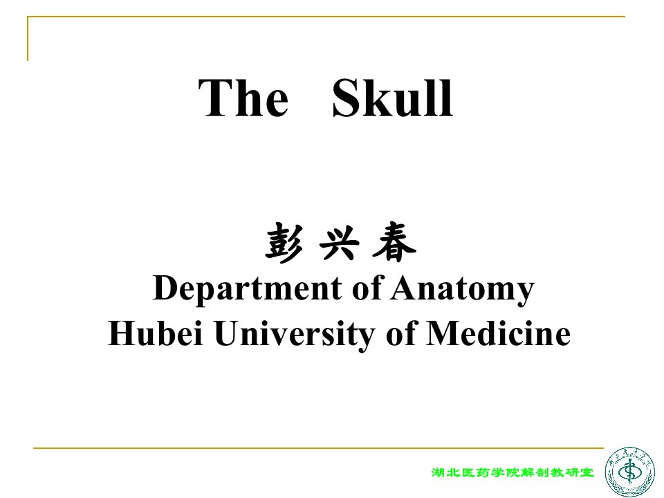 系统解剖学教学资料头骨