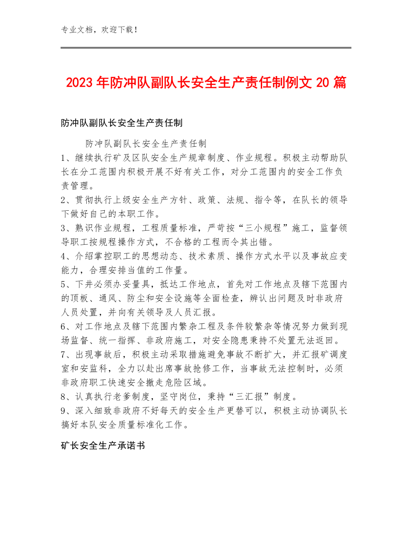 2023年防冲队副队长安全生产责任制例文20篇