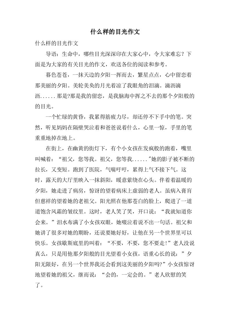 什么样的目光作文