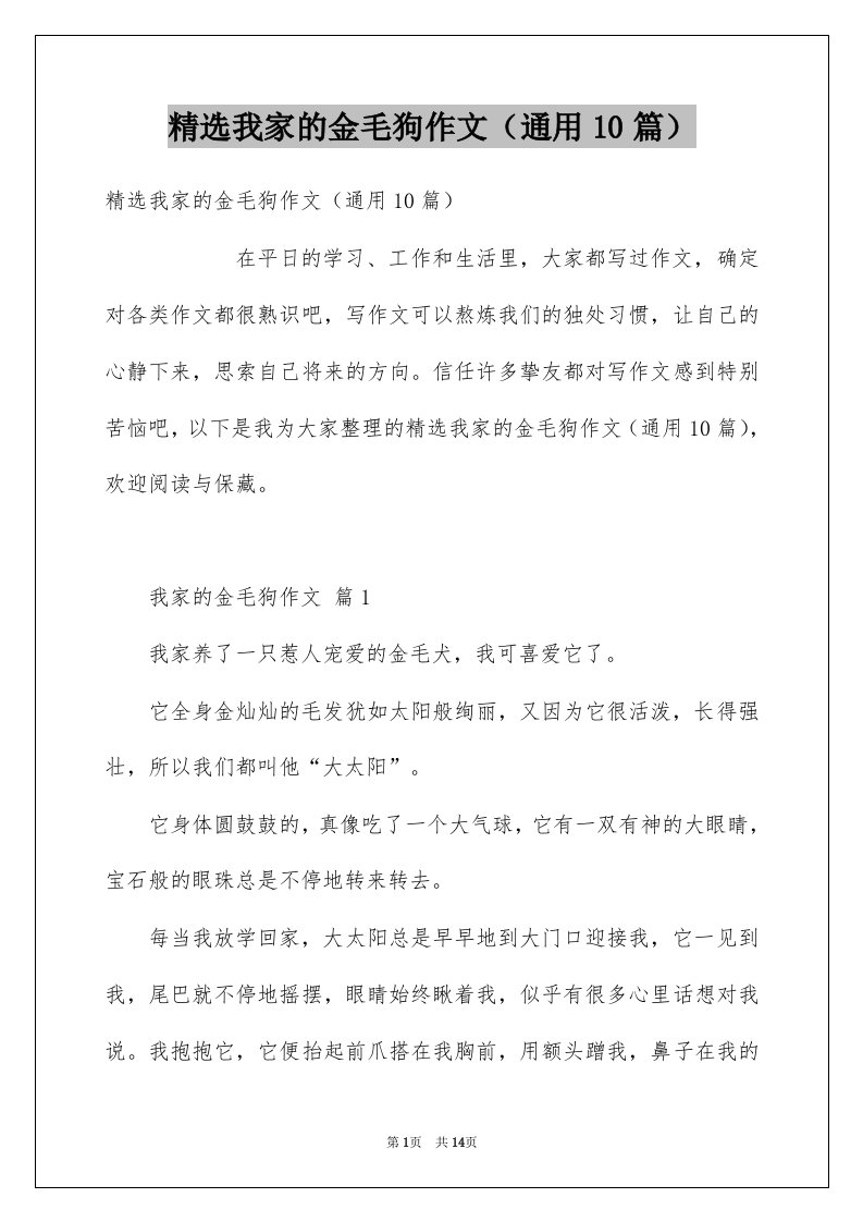 我家的金毛狗作文通用10篇