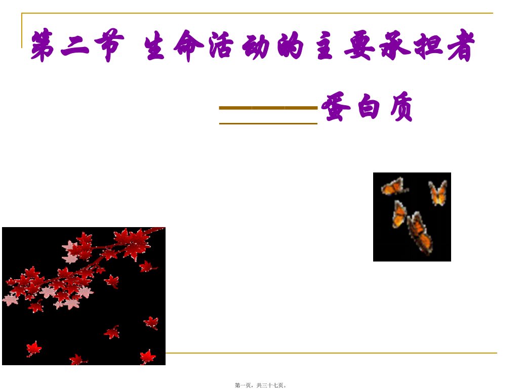 2.2-生命活动的主要承担者——蛋白质1