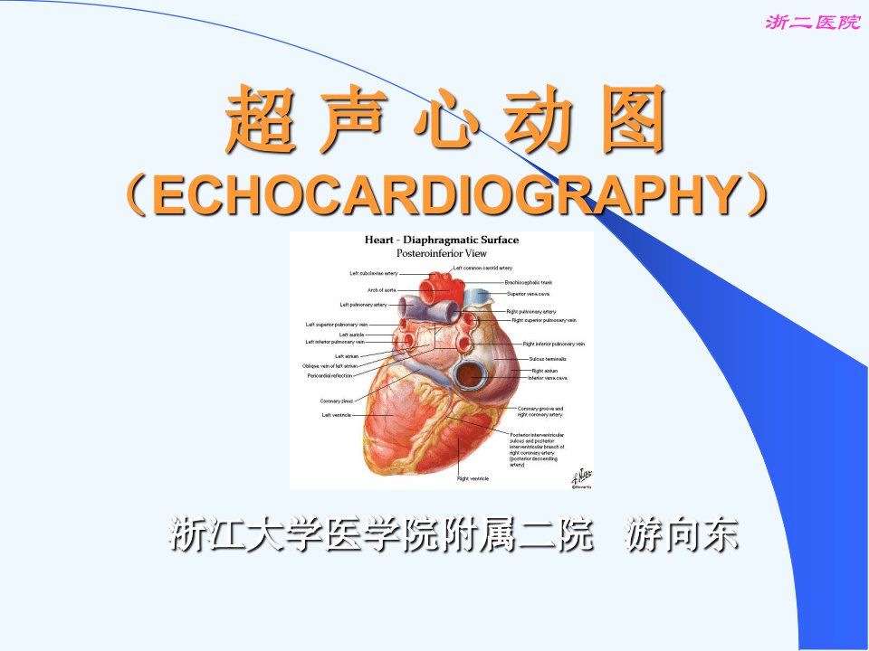 超声心动图(心瓣膜病)课件