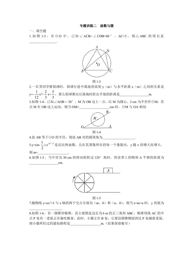 中考总复习数学专题优化训练函数与圆