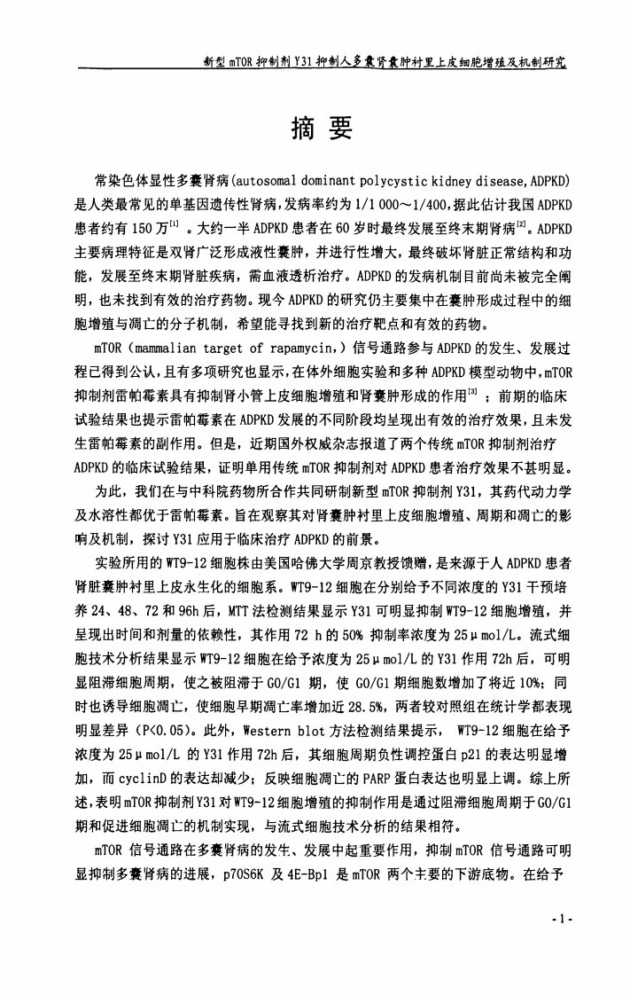 新型mtor抑制剂y31抑制人多囊肾囊肿衬里上皮细胞增殖及机制的分析研究