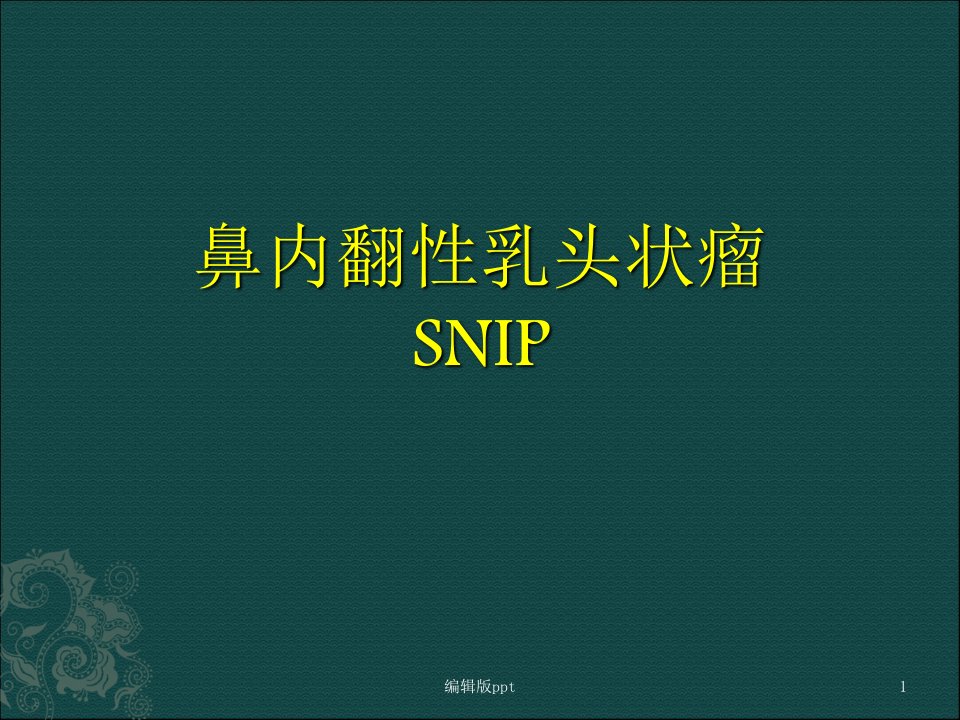 鼻腔鼻窦内翻性乳头状瘤ppt课件