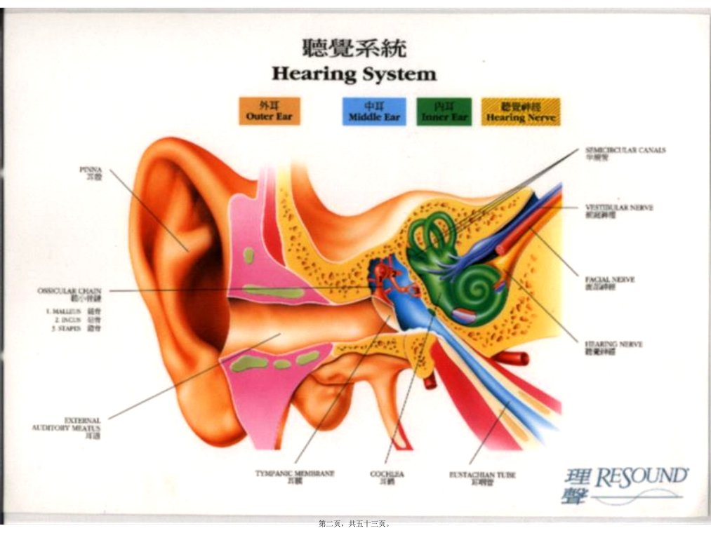 化脓性中耳炎及其并发症新