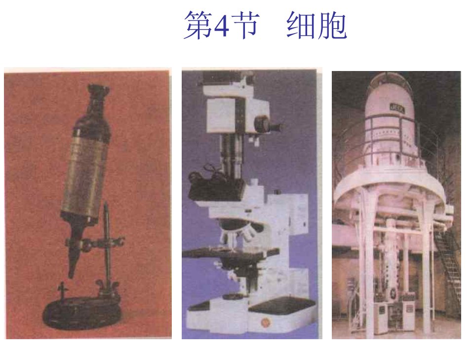 七年级科学显微镜的使用