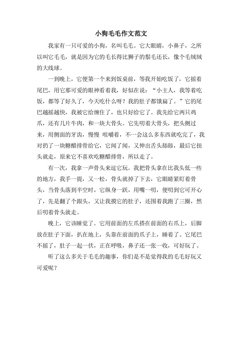 小狗毛毛作文范文