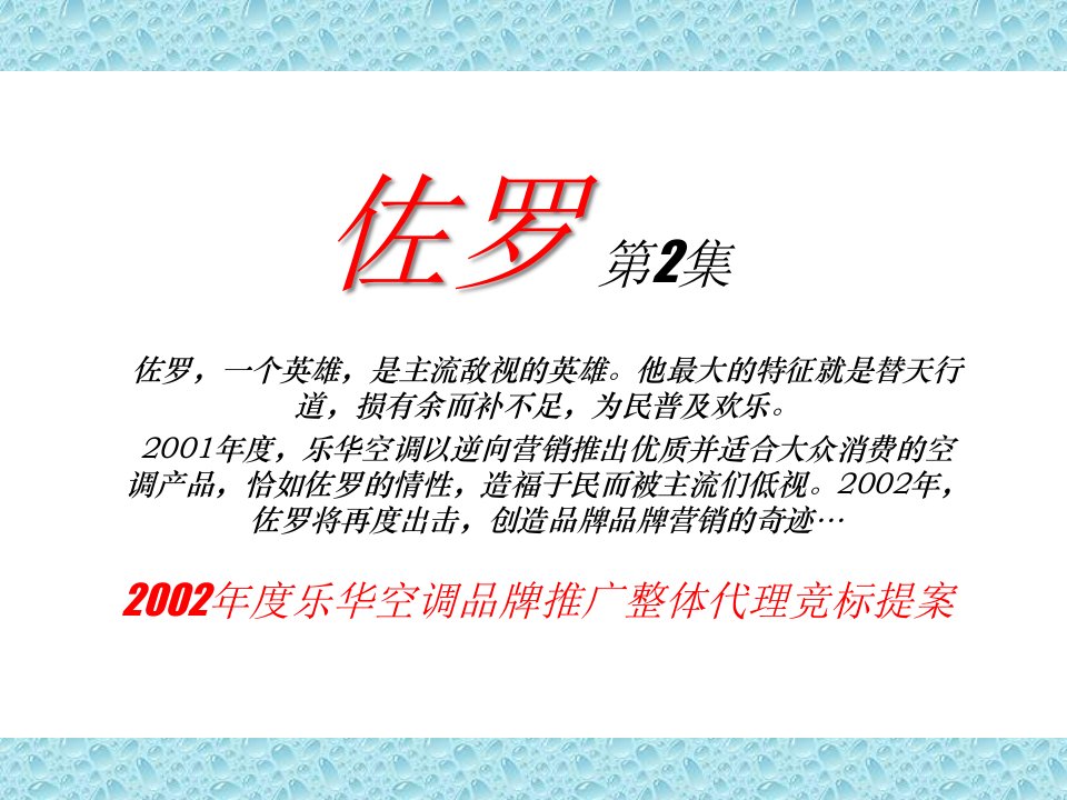 乐华空调品牌发展策略（PPT53页）