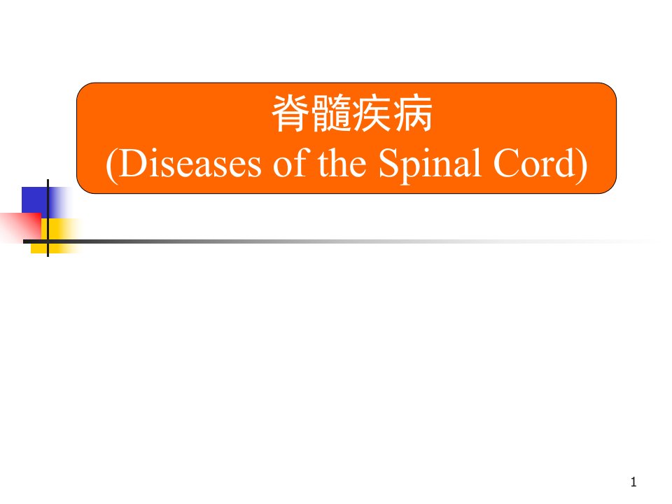 脊髓疾病诊断治疗PPT课件