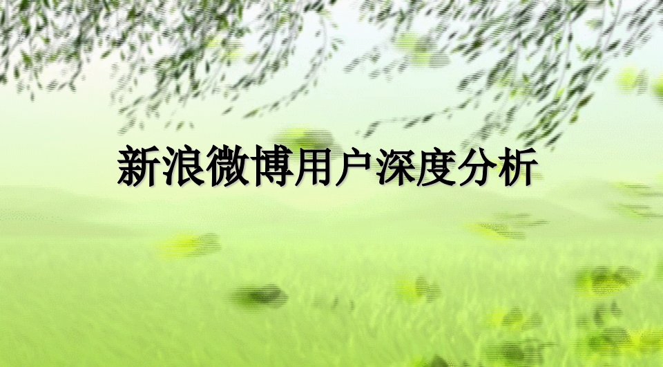 微博用户分析-课件（PPT·精·选）