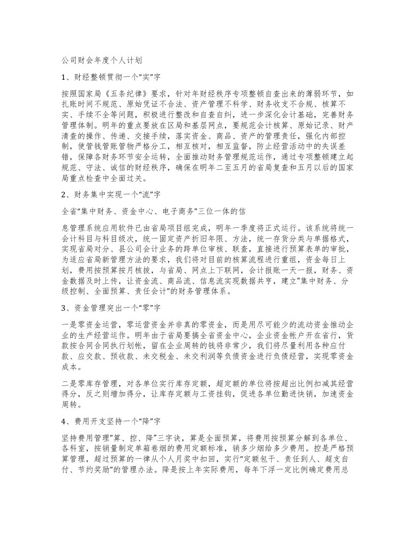 公司财会年度个人计划