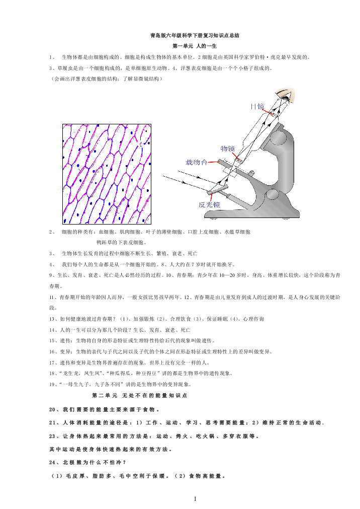 (完整word版)新总结青岛版六年级下册科学(全册)知识点总结及试题-推荐文档