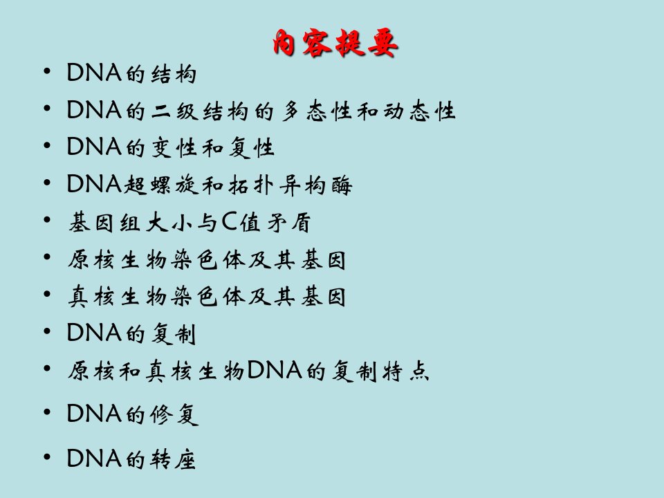 新编分子生物学课件第二章DNA的结构