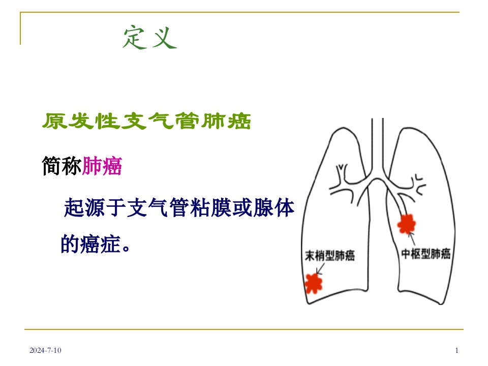 纤维支气管镜