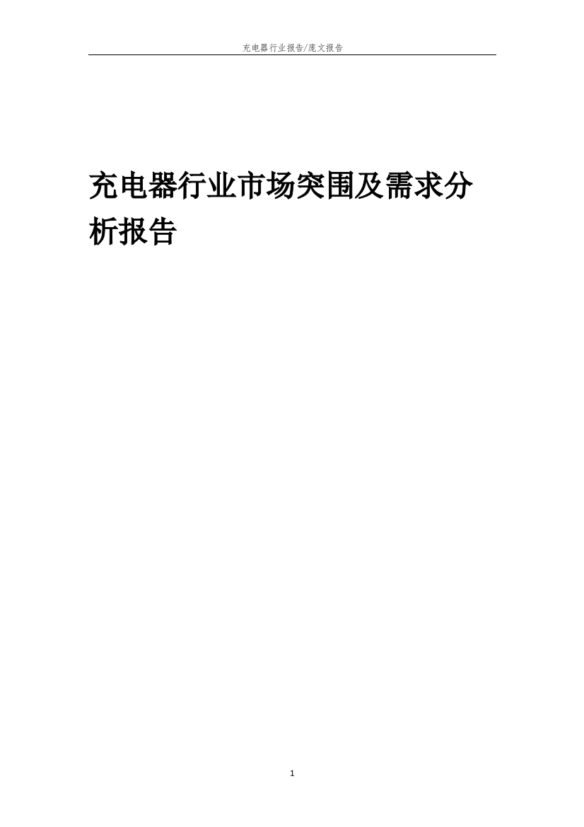 2022年充电器行业市场突围及需求分析报告