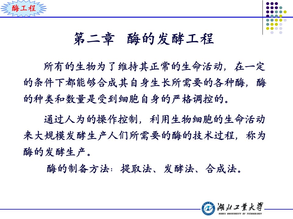 酶工程ppt(建工)课件