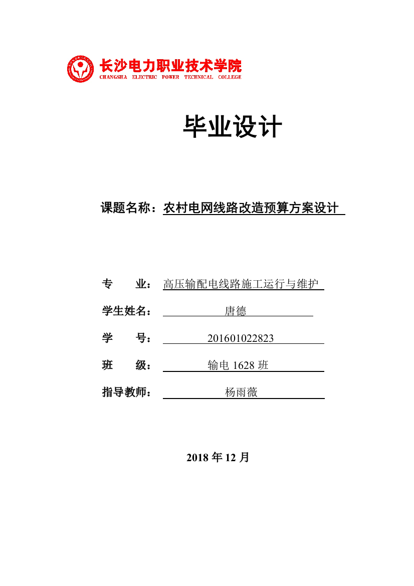 1论文农村电网线路改造预算方案设计