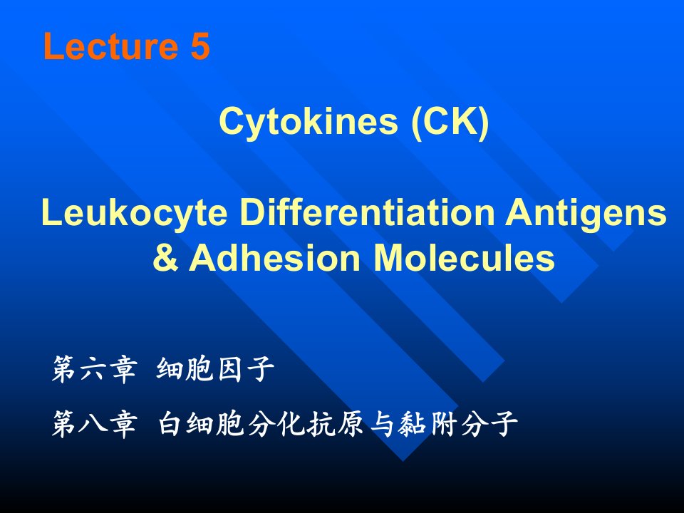 医学免疫学教学课件05ckcdam