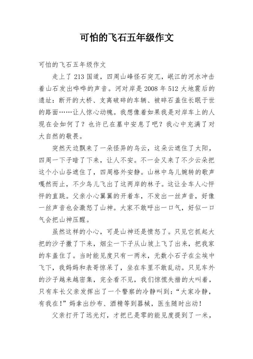 可怕的飞石五年级作文