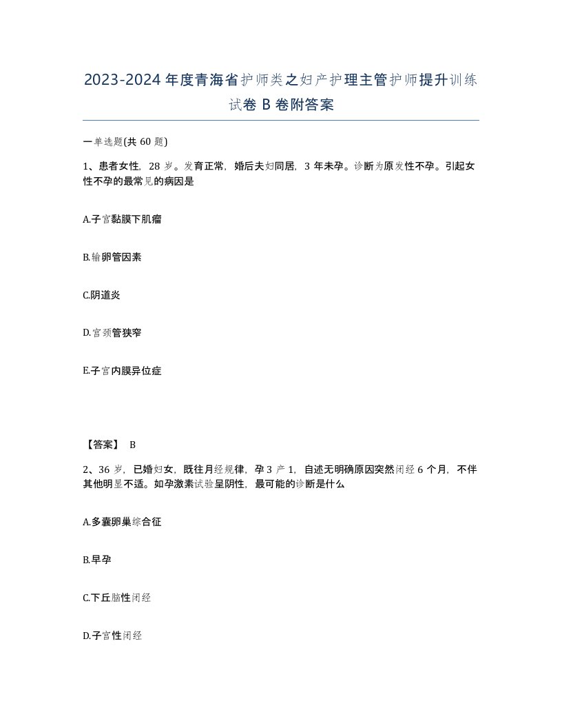 2023-2024年度青海省护师类之妇产护理主管护师提升训练试卷B卷附答案