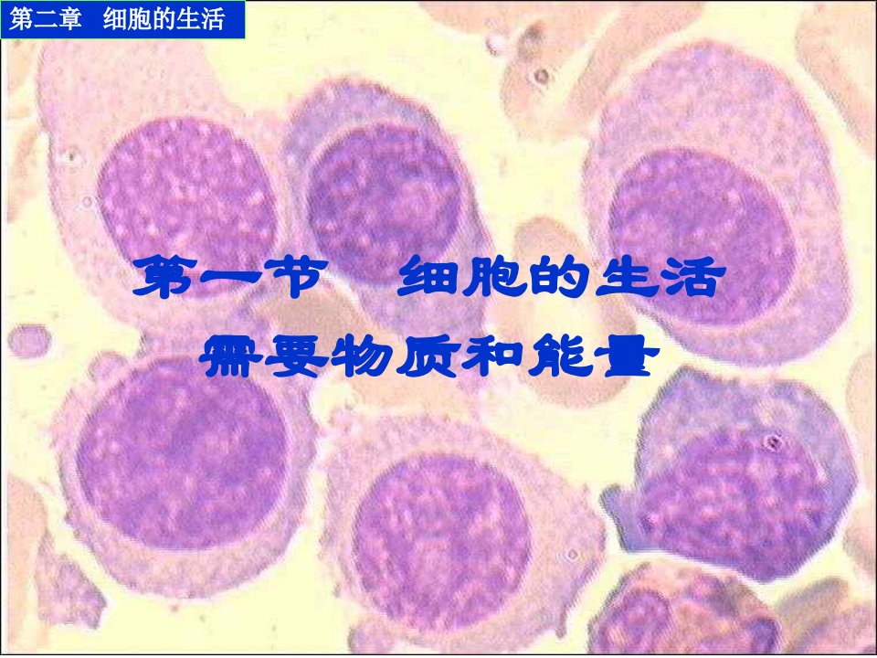 细胞的生活需要物质和能量