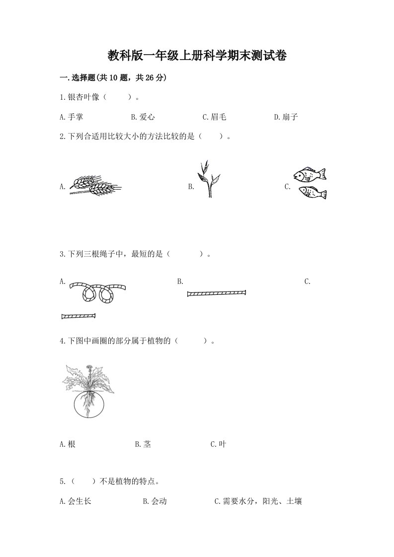 教科版一年级上册科学期末测试卷及答案（历年真题）