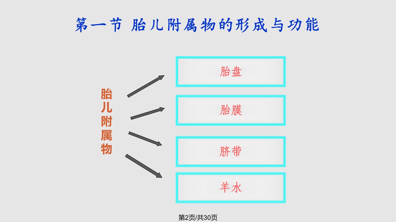 药理学课件第2章