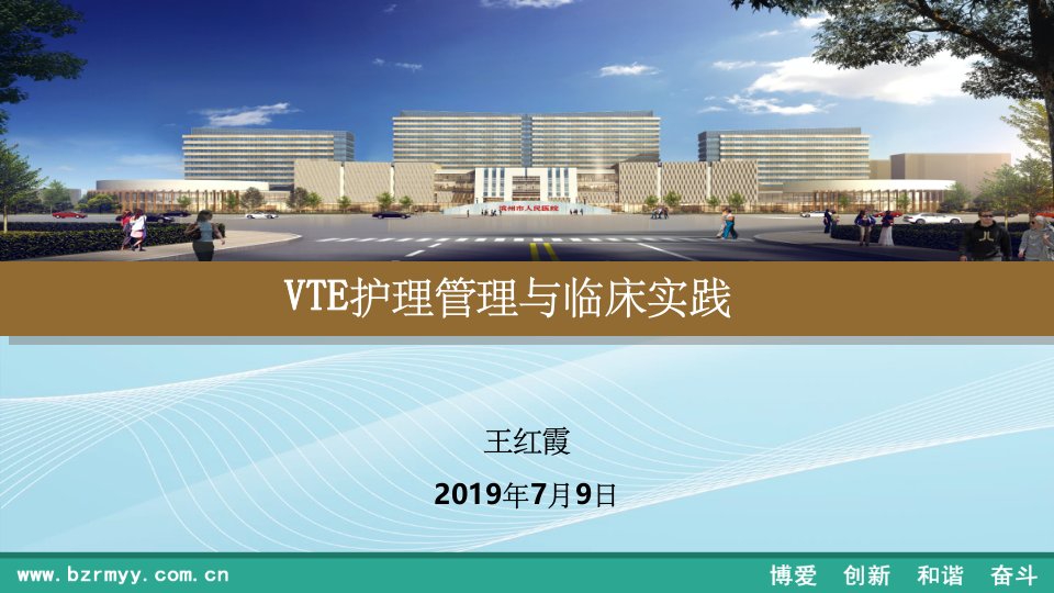 vte护理管理与临床实践