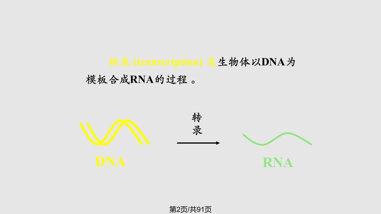 第2十一章RNA的生物合成