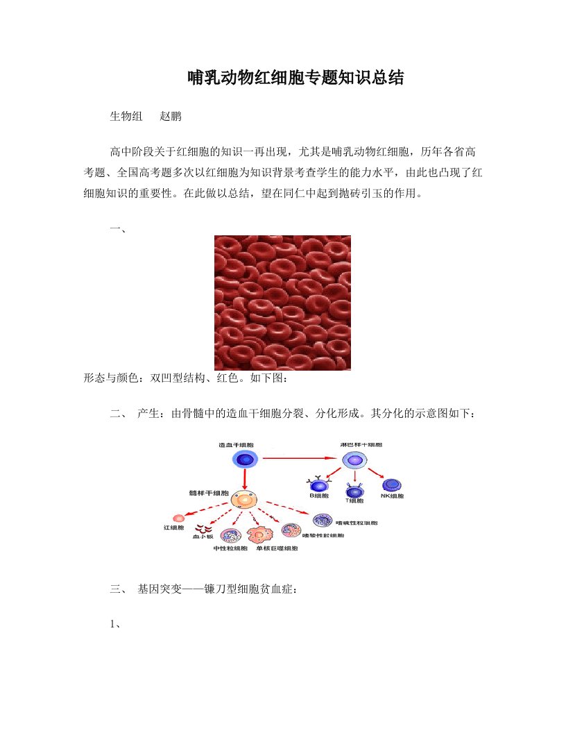 哺乳动物红细胞专题知识总结