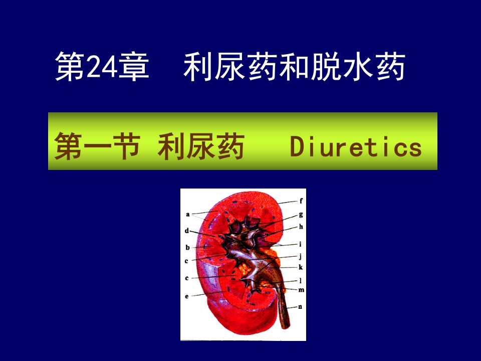 药理学第2版24利尿药