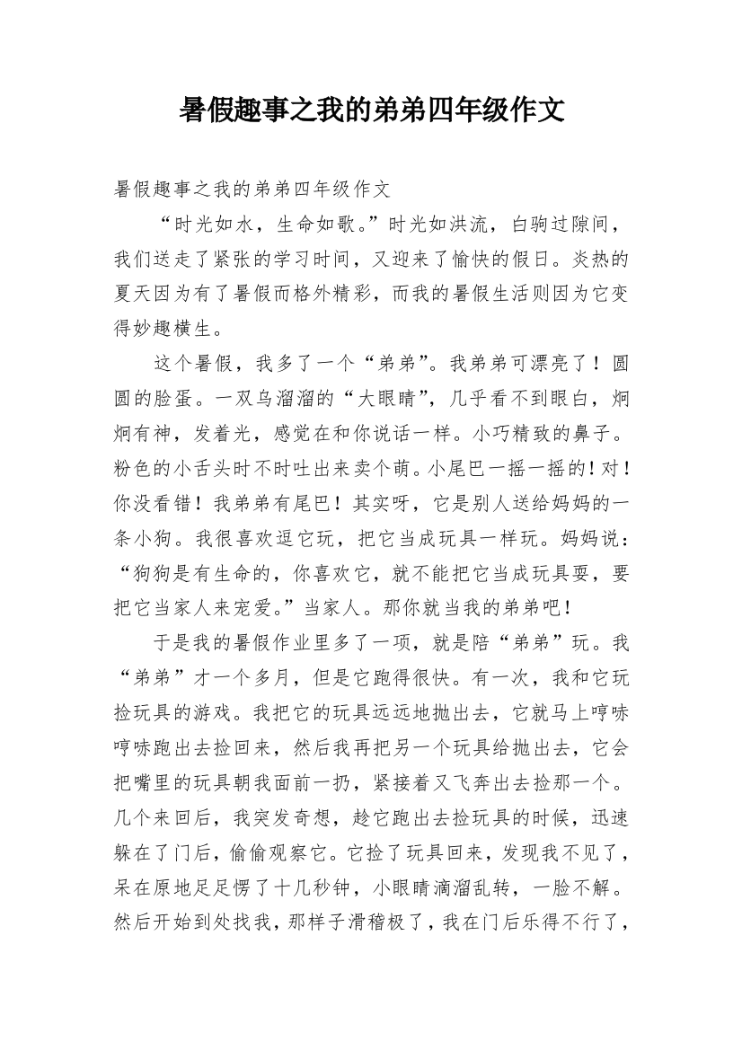 暑假趣事之我的弟弟四年级作文_1