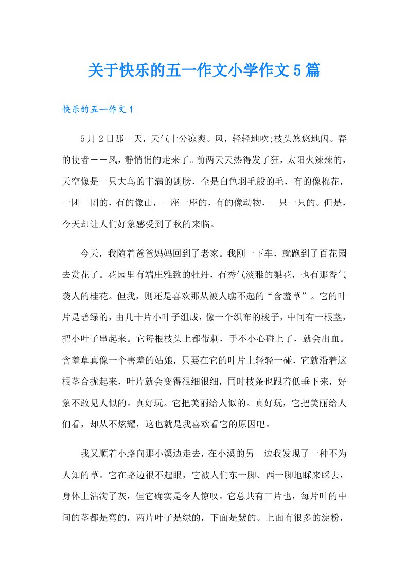 关于快乐的五一作文小学作文5篇