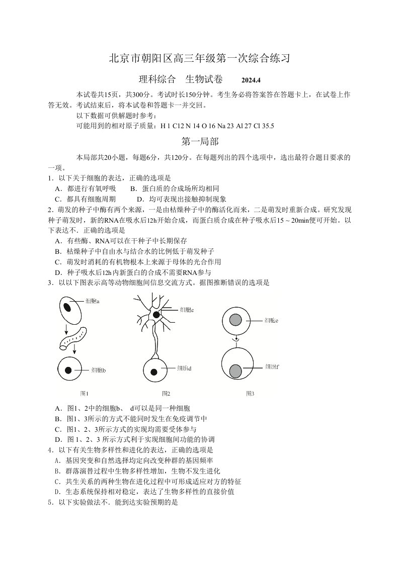 2024朝阳区高三一模生物试题及答案