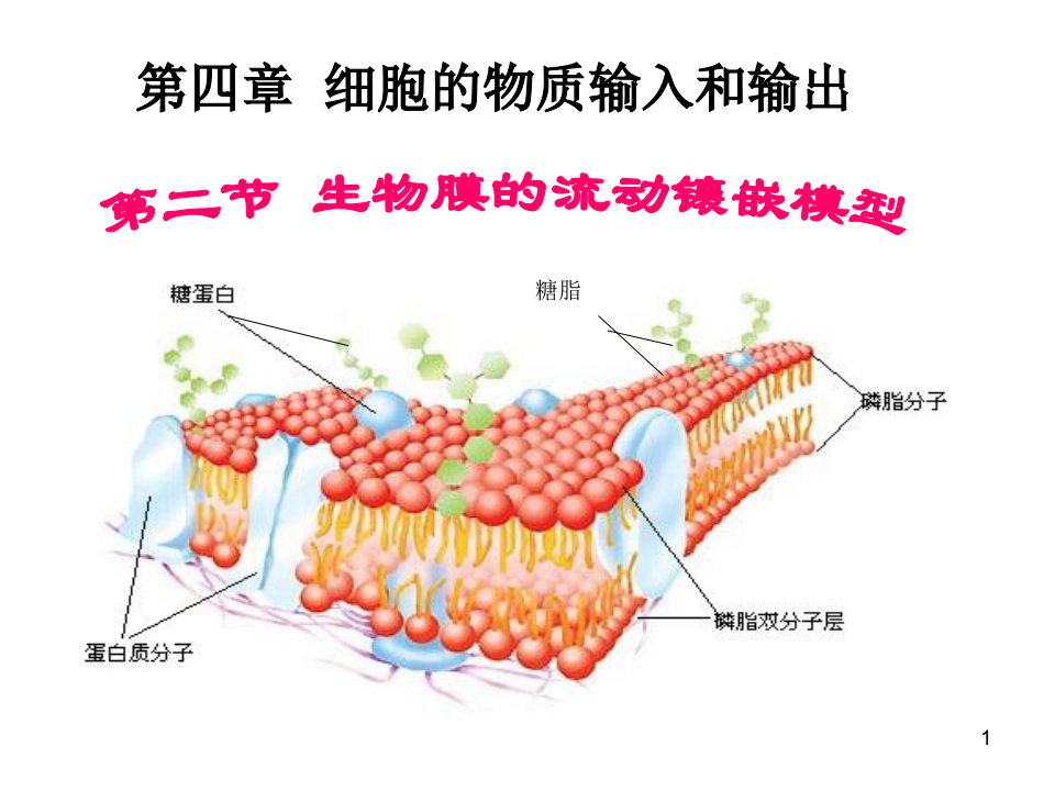 第二节