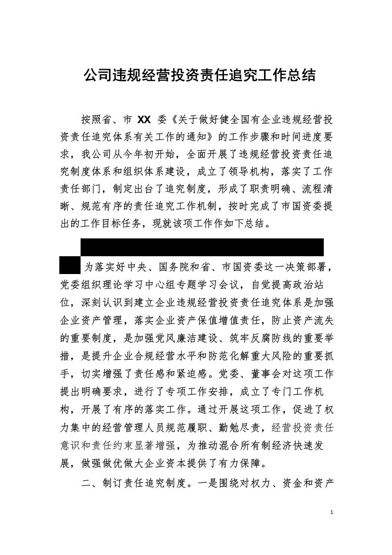 公司违规经营投资责任追究工作总结