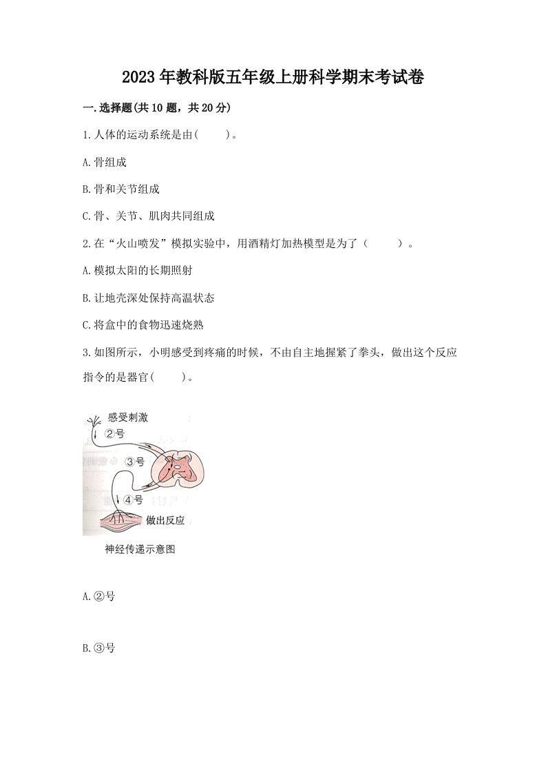 2023年教科版五年级上册科学期末考试卷精编