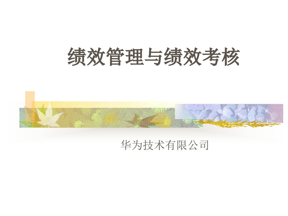 XX技术有限公司绩效管理与绩效考核