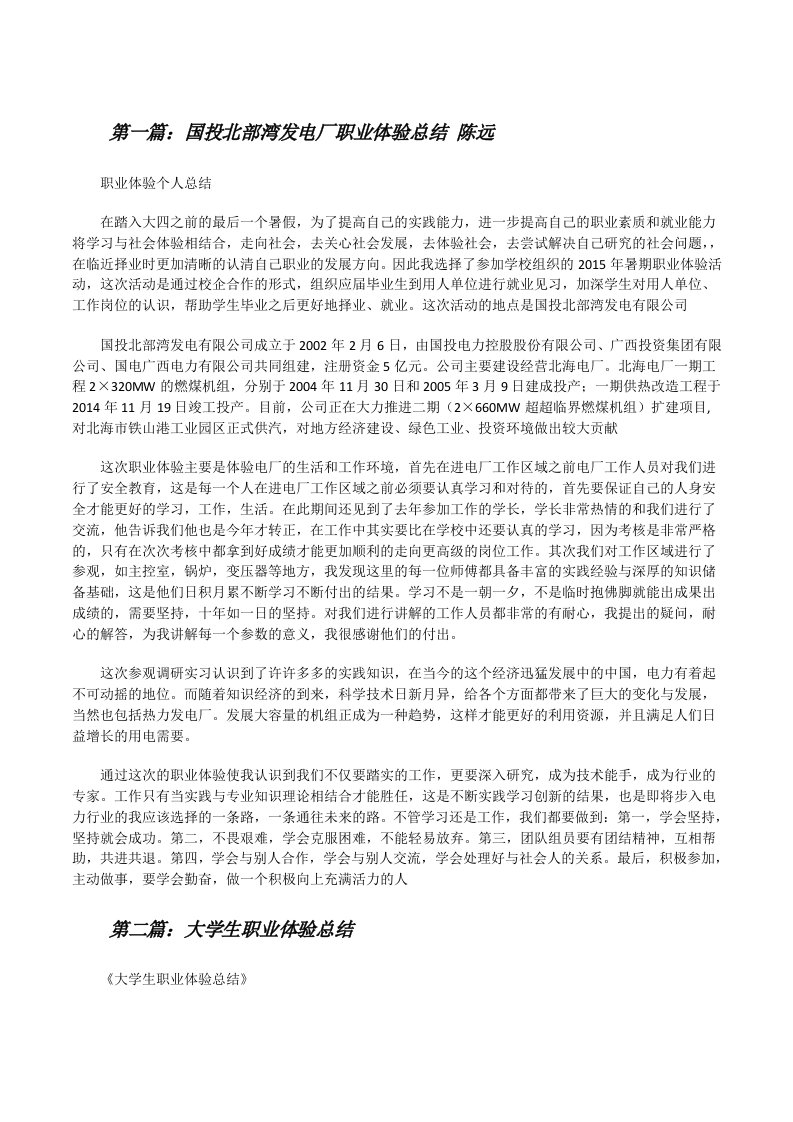 国投北部湾发电厂职业体验总结陈远[修改版]