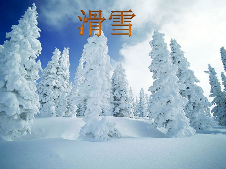 滑雪相关知识(一)