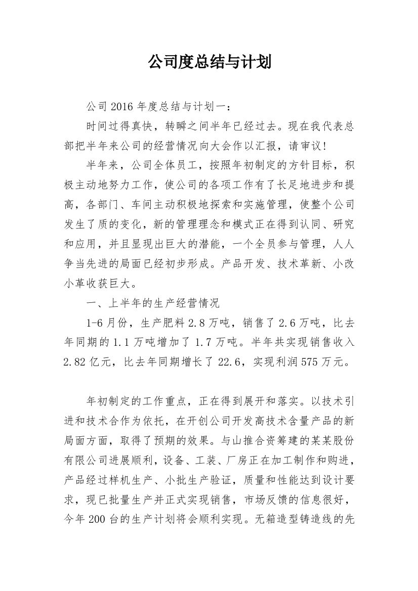 公司度总结与计划