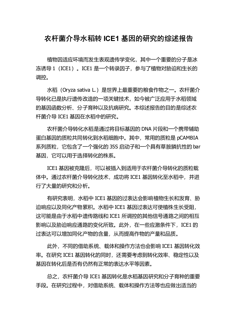 农杆菌介导水稻转ICE1基因的研究的综述报告