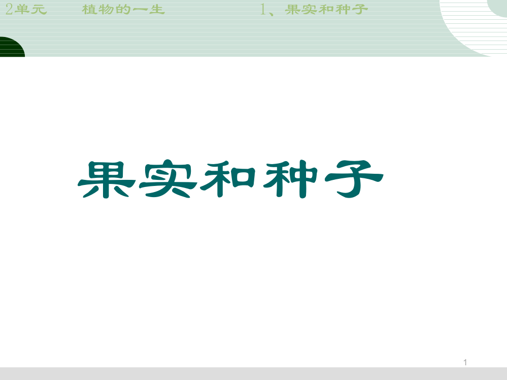 苏教版三年级科学果实和种子ppt课件