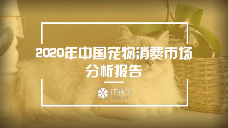 IT桔子-2020年中国宠物消费市场分析报告-2021-54页-WN1