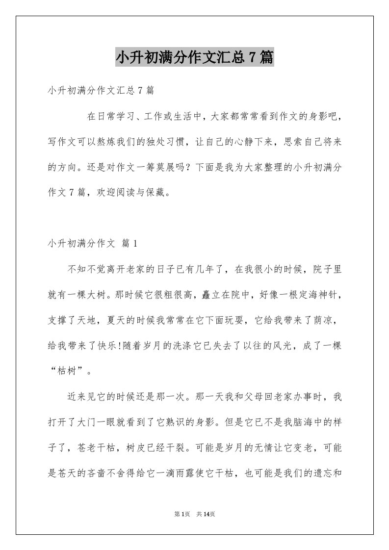 小升初满分作文汇总7篇例文